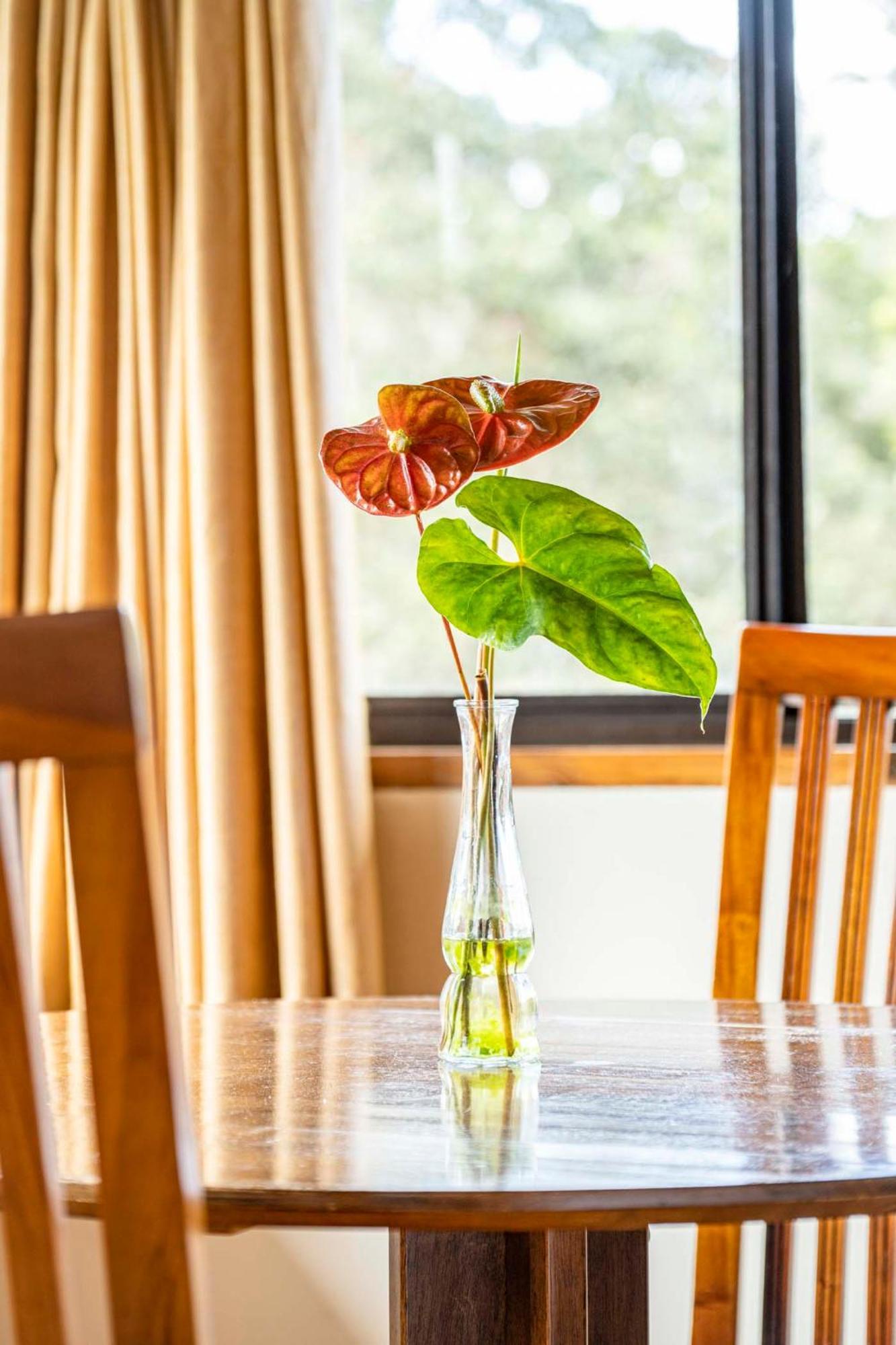 Volcano Inn Bed N Breakfast Zewnętrze zdjęcie