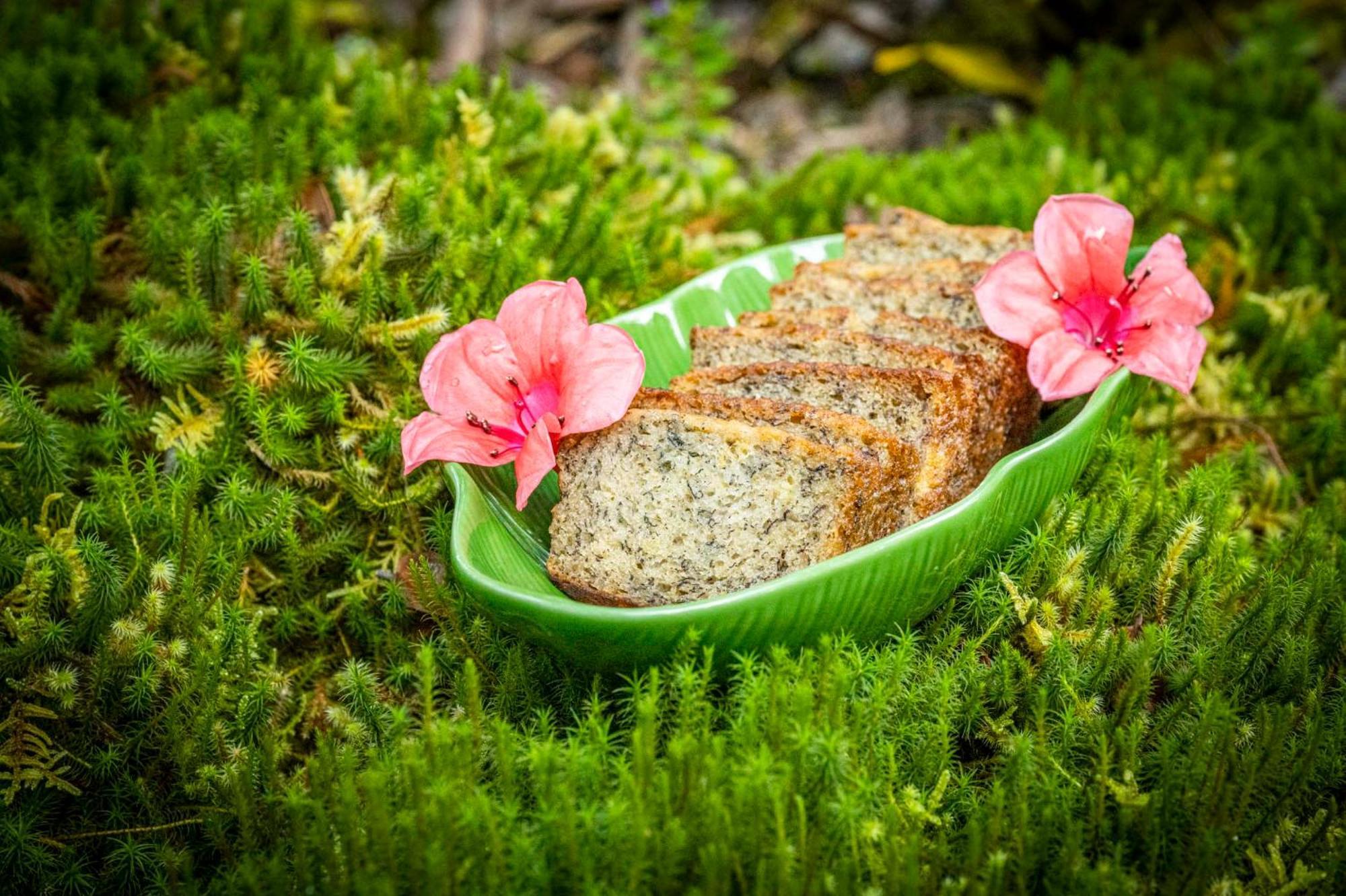 Volcano Inn Bed N Breakfast Zewnętrze zdjęcie